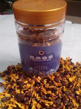 【昆仑雪菊买一送三】最新最全昆仑雪菊买一送三 产品参考信息