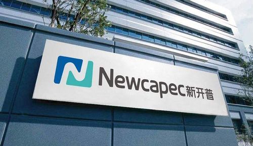 元宇宙未来 元宇宙未来核心这五家足以