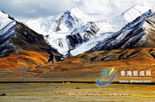 莽莽昆仑展神韵