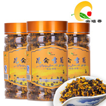 【出墙香雪菊】最新最全出墙香雪菊 产品参考信息